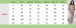 Women's Sets Warm clothes in winter plus sieze Sweatshirts